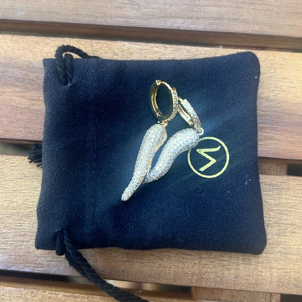 Horn earrings